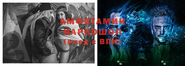 прущие грибы Алексин