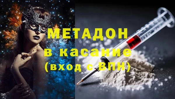 прущие грибы Алексин
