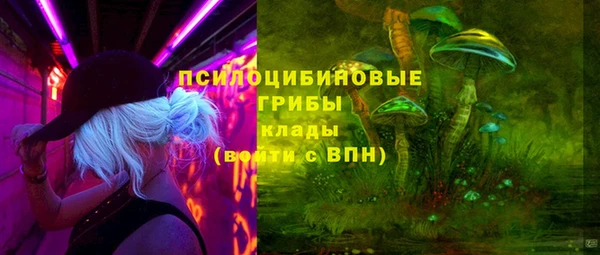 прущие грибы Алексин