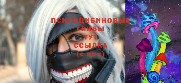 прущие грибы Алексин