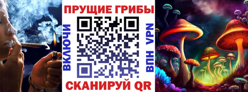 где продают наркотики  Новая Ладога  Псилоцибиновые грибы мицелий 